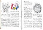 دانلود کتاب بافت شناسی جعفر سلیمانی راد 322 صفحه PDF 📘-1