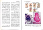 دانلود کتاب بافت شناسی جعفر سلیمانی راد 322 صفحه PDF 📘-1