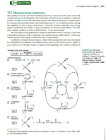دانلود کتاب Inorganic Chemistry گری ال میسلر 702 صفحه PDF 📘-1