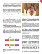 دانلود کتاب Obstetrics and Gynaecology آکسفورد 929 صفحه PDF 📘-1