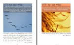 دانلود کتاب حقایق شگفت انگیز علمی احسان کوثری نیا جلد دوم 75 صفحه PDF 📘-1