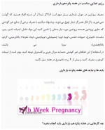 دانلود کتاب بارداری و تغییر وضعیت جنین از هفته سوم تا چهلم 298 صفحه PDF 📘-1