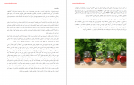 دانلود کتاب 17 چاشنی هندی علی شاه میری صفحه23 PDF 📘-1