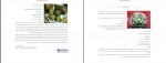 دانلود کتاب آشپزی دلمه کوفته کوکو مجله الکترونیکی ویستا 175 صفحه PDF 📘-1