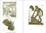 دانلود کتاب از میمون تا انسان فریدون شایان 89 صفحه PDF 📘-1