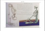 دانلود کتاب یوگا و آناتومی ری لانگ 202 صفحه PDF 📘-1