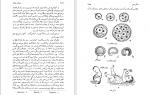 دانلود کتاب یک دو سه بینهایت احمد بیرشک 373 صفحه PDF 📘-1