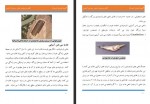 دانلود مقاله آشنایی با تکثیر و پرورش ماهی سی باس آسیایی علی قوام پور 43 صفحه PDF📘-1