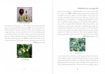 دانلود پایان نامه ارزشيابی ويژگيهای فيزيكی و شيميايی هسته عناب مهدیه گل محمدی 162 صفحه PDF 📘-1