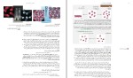دانلود کتاب شیمی عمومی سیلبربرگ 344 صفحه PDF 📘-1