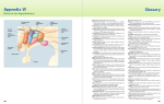 دانلود کتاب Biopsychology جان پی جی پینل 610 صفحه PDF 📘-1