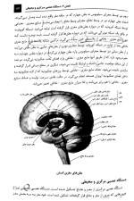 دانلود کتاب روانشناسی فیزیولوژیک و انگیزش و هیجان مرتضی پیری 550 صفحه PDF 📘-1