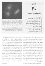 دانلود کتاب لودیش جلد 2 جواد محمد نژاد 772 صفحه PDF 📘-1