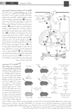 دانلود کتاب لودیش جلد 2 جواد محمد نژاد 772 صفحه PDF 📘-1