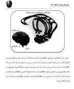 دانلود کتاب روش های تقویت حافظه علیرضا منجمی 65 صفحه PDF 📘-1