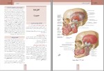 دانلود کتاب آناتومی-نوروآناتومی مائده محمودی 434 صفحه PDF 📘-1