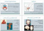 دانلود کتاب جنین شناسی اختصاصی عضلات و اسکلت 33 صفحه PDF 📘-1