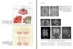 دانلود کتاب جهان در مغز عبدالرحمن نجل رحیم 120 صفحه PDF 📘-1