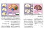 دانلود کتاب جهان در مغز عبدالرحمن نجل رحیم 113 صفحه PDF 📘-1