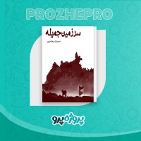 دانلود کتاب سرزمین جمیله احمدضیا سیامک هروی 413 صفحه PDF 📘