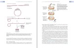 دانلود کتاب 376Gene Cloning & DNA analysis صفحه PDF 📘-1