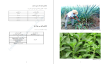 دانلود کتاب آشپزی اتیسم حسین رضائی 163 صفحه PDF 📘-1