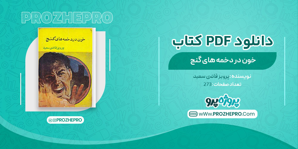 دانلود کتاب خون در دخمه های گنج پرویز قاضی سعید 273 صفحه PDF 📘