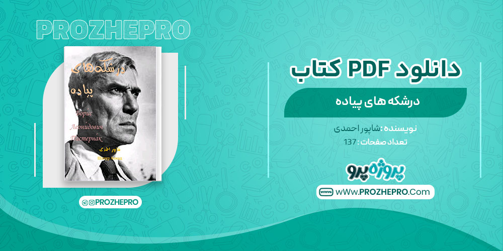 دانلود کتاب درشکه های پیاده شاپور احمدی 137 صفحه PDF 📘