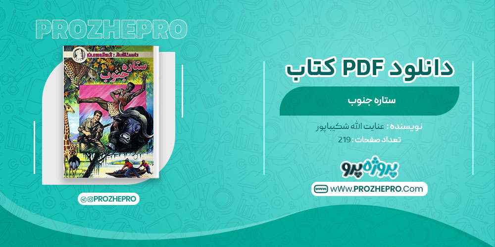 دانلود کتاب ستاره جنوب عنایت الله شکیباپور 219 صفحه PDF 📘