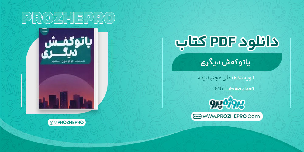 دانلود کتاب پا تو کفش دیگری علی مجتهدزاده 616 صفحه PDF 📘