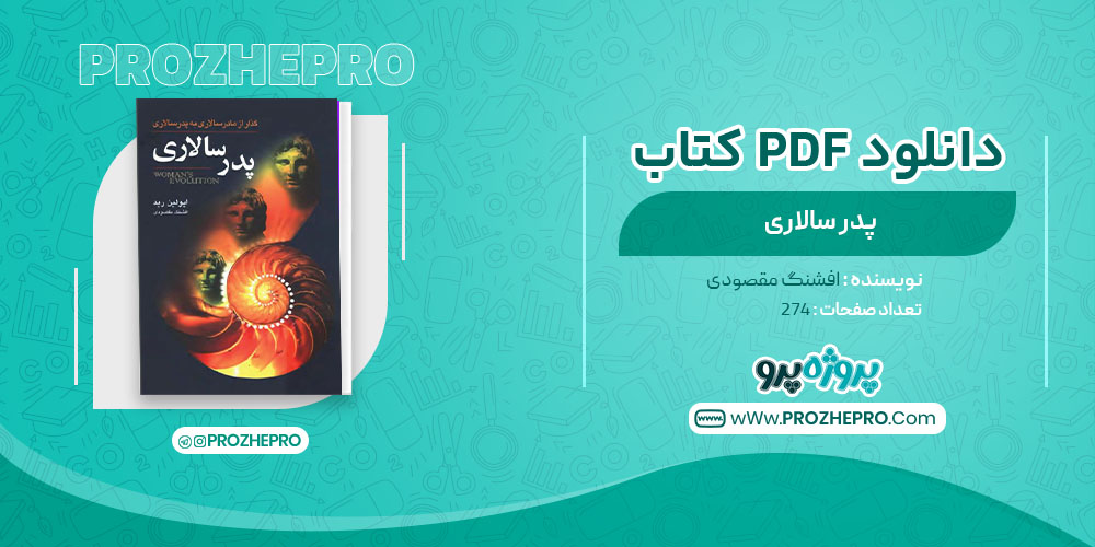 دانلود کتاب پدر سالاری افشنگ مقصودی 274 صفحه PDF 📘